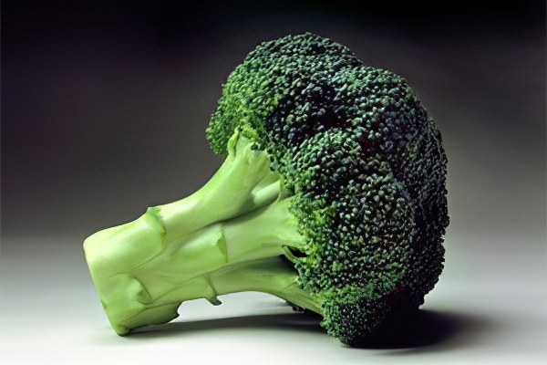 kas toores brokkoli poleb rasva uro bon rasva poleti