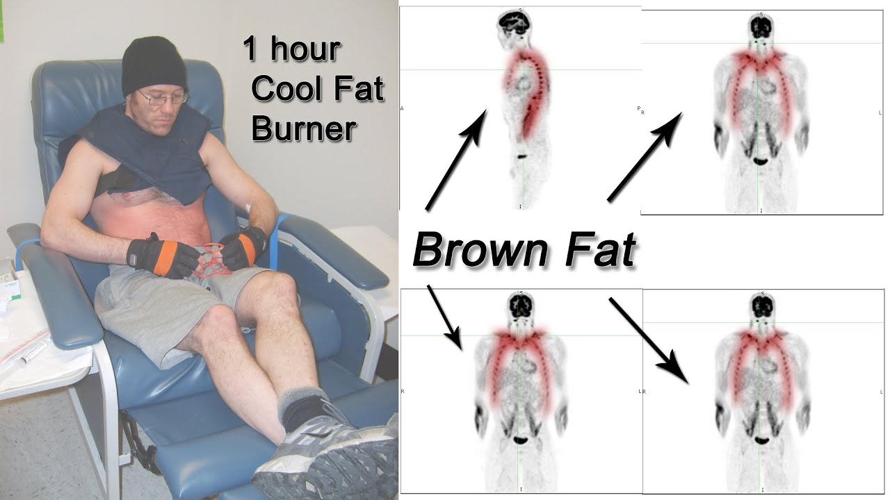 cool fat burner vest review kas soojuse poletamise rasva higistamine