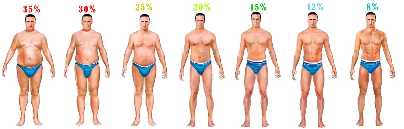 keha rasva protsendimaara kaotuse valjakutse